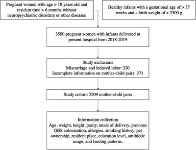 Study on the relationship between intrapartum group B streptococcus prophylaxis and food allergy in children